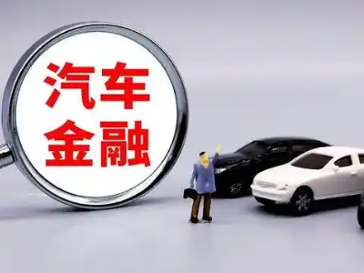 泾源押车贷款不是本人可以么?